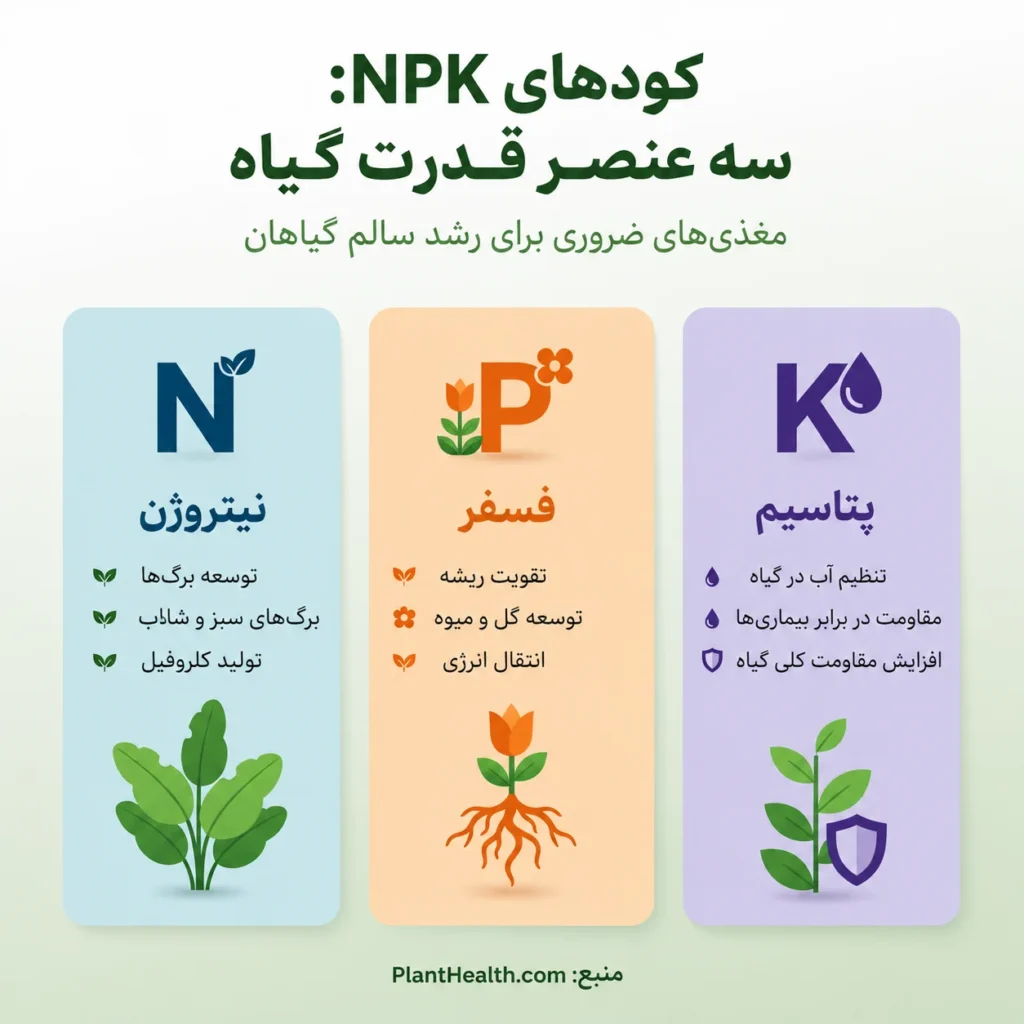 عناصر تشکیل دهنده کود NPK